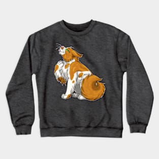 Ginger Bicolor Longhair Crewneck Sweatshirt